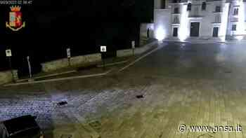 Matera, sposa in viaggio di nozze tenta il suicidio: salvata dalla polizia - Italia - Agenzia ANSA