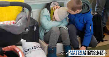 A Matera e provincia accolti oltre 120 bambini e adolescenti ucraini in fuga dalla guerra: ecco le ultime notizie - Matera News