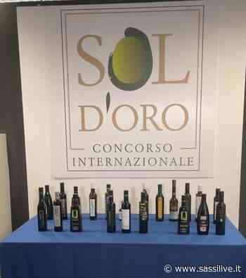Terzo posto per l'azienda agricola Vincenzo Marvulli di Matera al concorso Sol d'Oro di Verona nella categoria “Fruttato intenso” - Sassilive.it