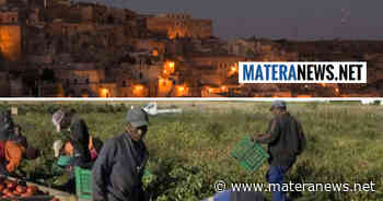 Matera, nuova operazione anti-caporalato: "Ancora molto da fare per i lavoratori migranti che assicurano la raccolta delle produzioni lucane"! Ecco le proposte - Matera News
