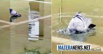 "A Matera questo parcheggio, da poco ristrutturato a suon di quattrini, si allaga con poche gocce d'acqua"! La denuncia - Matera News