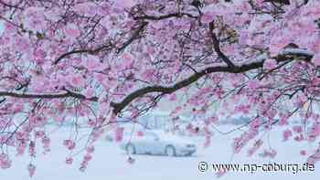 Wetteraussichten - Schnee zum Aprilstart in Deutschland - Neue Presse Coburg