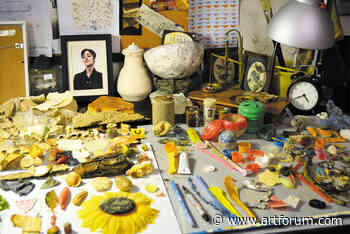 Kate Sutton on Shubigi Rao and her work at the 59th Venice Biennale - Artforum