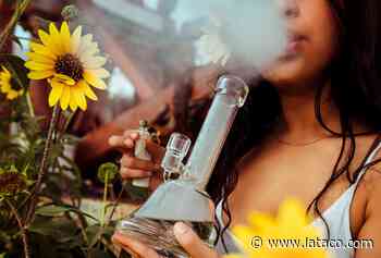 New Medical Report States Secondhand Smoke From Bong Hits Worse Than Cigarette Smoke - L.A. TACO