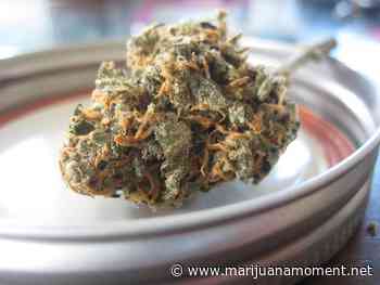 South Carolina House Lawmakers Approve Senate-Passed Medical Marijuana Legalization Bill In Subcommittee - Marijuana Moment