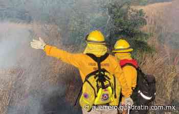 Reportan incendio en cerro Gordo de Iguala - Quadratin Guerrero