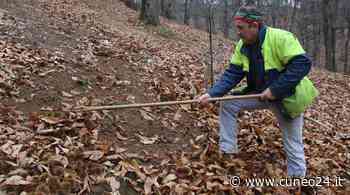 Il castanicultore e trombettista bovesano vicepresidente della CIA di Cuneo - Cuneo24