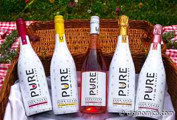 PURE the Winery pivots to direct-to-consumer during COVID-19 with Oracle NetSuite - Diginomica