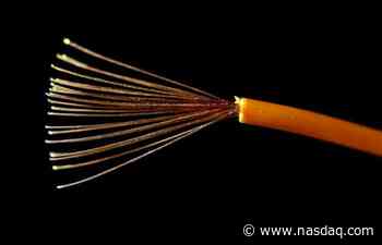 METALS-Copper slips as factory activity contracts in top consumer China - Nasdaq