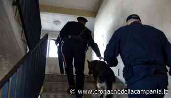 Blitz antidroga a Capua: ordinanza per 2 persone - Cronache Campania
