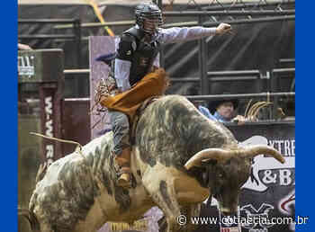 Volta da montaria em animais na Festa do Peão de Cotia gera revolta na internet: “Retrocesso” - Cotia e Cia