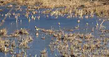 Ansbach: Fördergelder für den Naturschutz in Mittelfranken - inFranken.de