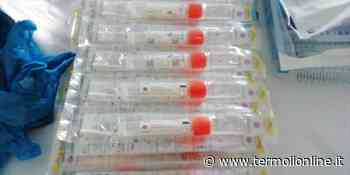 Termoli, Isernia, Campobasso: Covid: nel Molise 180 guariti e 516 contagi - Termoli Online
