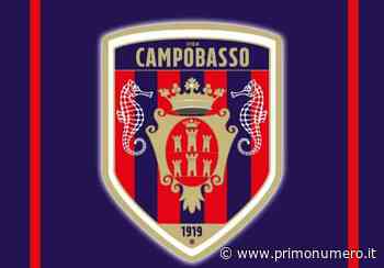 Il Campobasso ‘assorbe’ il Termoli: cavallucci marini sul logo. Ma è primo aprile - Primonumero