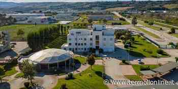 Cosib, presidenze e prese di posizione: «Agire in sede amministrativa, precisazioni» - Termoli Online