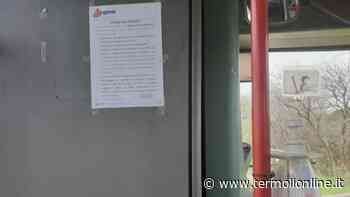 Fuori dallo stato di emergenza, regole e avvisi: lavoro, servizi, mezzi pubblici, scuola e sanità - Termoli Online