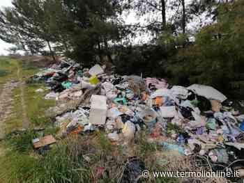 Territorio e ambiente, parlano i consiglieri pentastellati: «Risposta irricevibile» - Termoli Online
