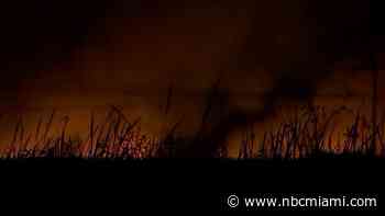 Smoke, Ash From South Broward Brush Fire Plague Nearby Communities