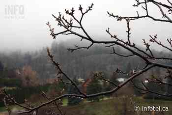 Sunday best day to enjoy spring weather in Kamloops, Okanagan this weekend | iNFOnews | Thompson-Okanagan's News Source - iNFOnews