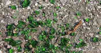 Scherbenmeer auf A96 bei Memmingen - IMSÜDEN