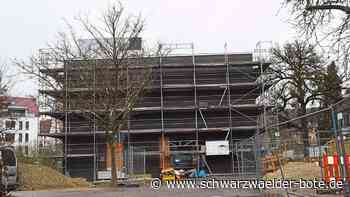 Balinger Gartenschau - Ein Pavillon für mindestens 350 .000 Euro - Schwarzwälder Bote