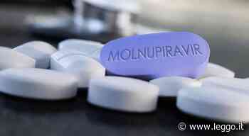 «Il farmaco anti-Covid Molnupiravir in grado di eliminare il virus Sars-CoV2 entro tre giorni» - leggo.it