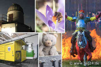 (Herz-)Erwärmende Tipps fürs erste April-Wochenende in Dresden und Umgebung! - TAG24