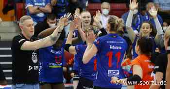 Volleyball: Stuttgart schlägt Dresden nach Corona-Wirbel - SPORT1