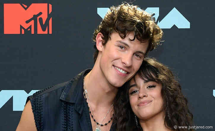 Shawn Mendes Reveals His Ex Camila Cabello's Reaction to Breakup Song 'When You're Gone'