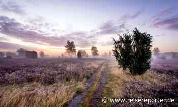 Top-Deal: 3 Tage im 4 Sterne Hotel in der Lüneburger Heide ab 119 Euro - Reisereporter