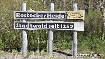 Rostocker Heide: Experten führen Interessenten durch den Küstenwald - nnn.de