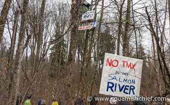 Crown seeks 60-day jail term for Burnaby pipeline protester - Squamish Chief