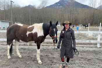 Want to see a Squamish horse play the keyboards? - Squamish Chief