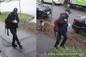 Accused in Vancouver park caretaker homicide makes first court appearance - Squamish Chief