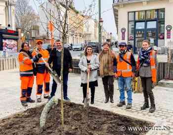 Schaarbeek lanceert plan voor groenere straten - BRUZZ