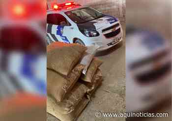 Policiais recuperam sacas de café furtadas de propriedade em Muniz Freire - Aqui Notícias - Ache Aqui Notícias
