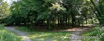 A Lissone “Raccolta plastic free” con le scuole nel Parco Urbano - Il Cittadino di Monza e Brianza