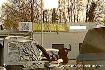 MZ+ Banaler Streit eskaliert in Marl - Polizei ermittelt wegen Nazi-Parolen - Marler Zeitung