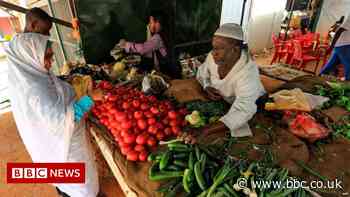 Ukraine war to halve global trade growth, warns WTO