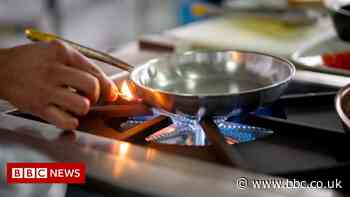 Russia says it won't cut off gas supplies yet in rouble payment row