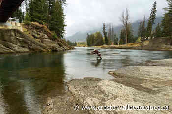 Kootenay streams closed to fishing for annual spawning period – Creston Valley Advance - Creston Valley Advance