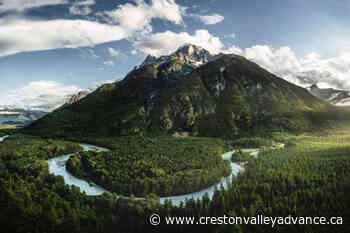 Chilcotin photographer's Great Bear Rainforest images featured in National Geographic – Creston Valley Advance - Creston Valley Advance