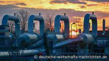 „Radikalster Plan Europas“: So will Polen sich von russischer Energie unabhängig machen