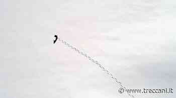 Morsi , di Marco Peano | Cultura, ATLANTE - Treccani