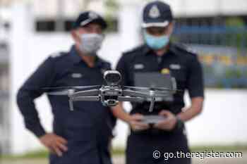 Scientists repurpose hoverfly vision to detect drones by sound