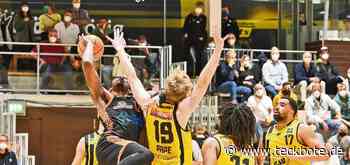 Die Knights sind zum Siegen verdammt - Lokalsport - Teckbote Online