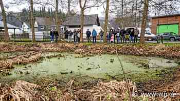 Dorfweiher in Siegen: Anwohner sauer über stinkenden Tümpel - WP News
