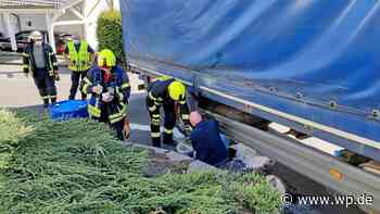 Siegen: Mann fängt auslaufenden Diesel mit Katzenstreu auf - WP News