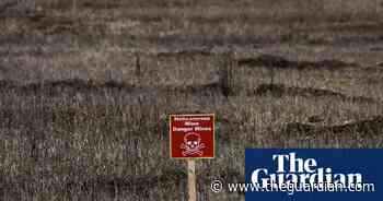 Global food price fears as Ukraine farmers forced to reduce crop planting - The Guardian