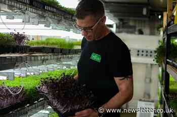 A passion for organic food led Stuart to business success with microgreens - Belfast News Letter